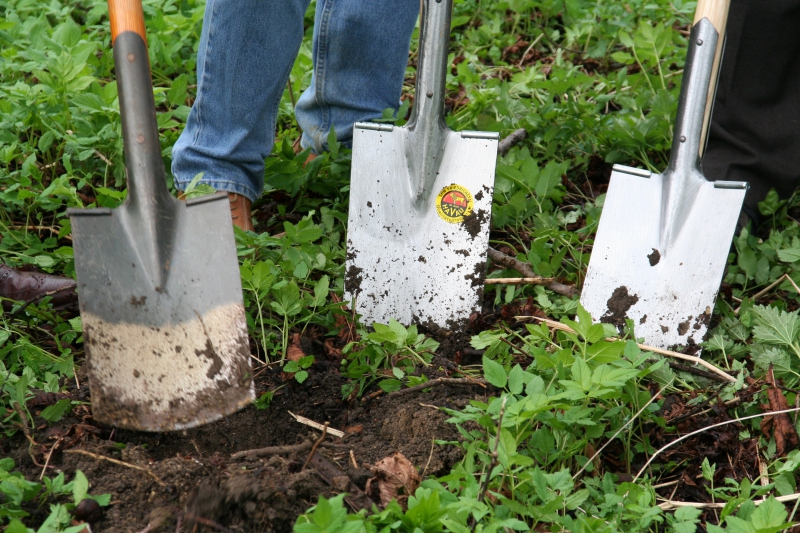 pepiniere-CARNOULES-min_work-lawn-flower-tool-green-backyard-1103633-pxhere.com